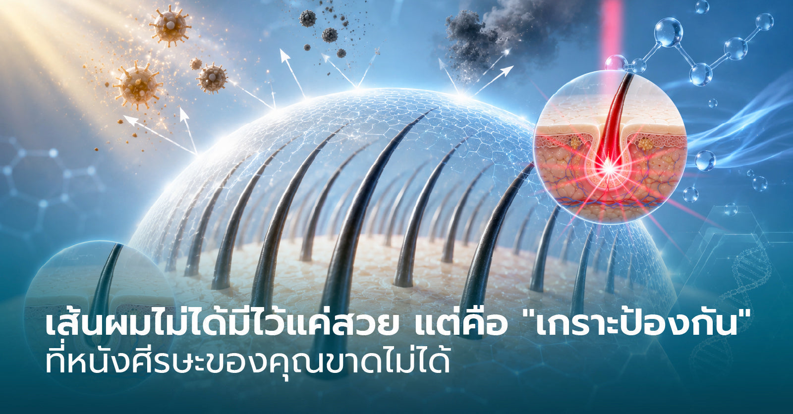 เส้นผมไม่ได้มีไว้แค่สวย แต่คือ "เกราะป้องกัน" ที่หนังศีรษะของคุณขาดไม่ได้